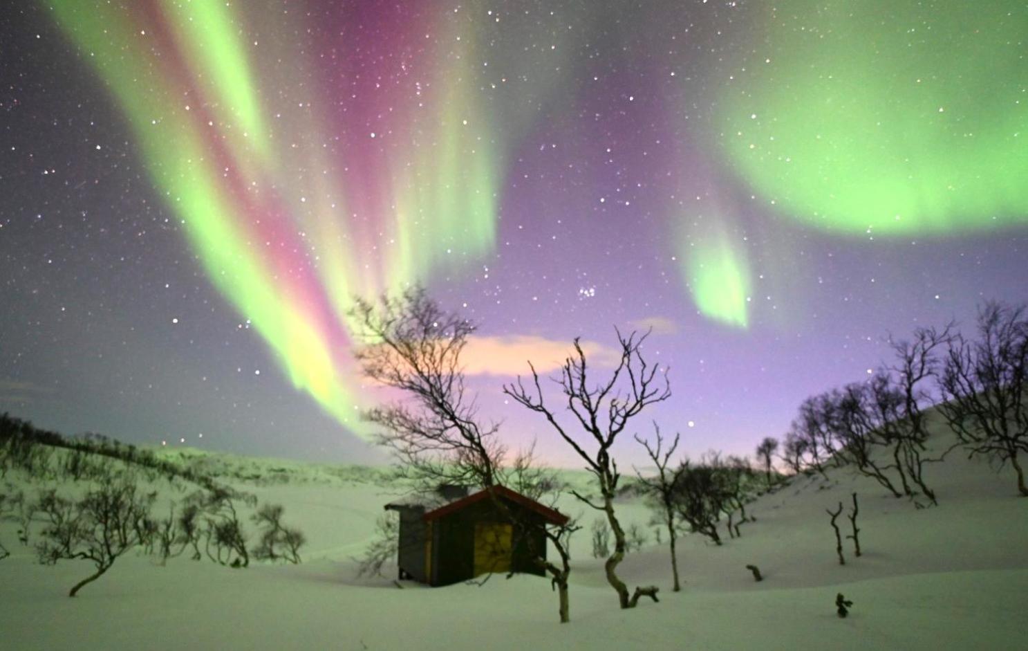 Atte Arstider Lodge Neiden Exterior foto
